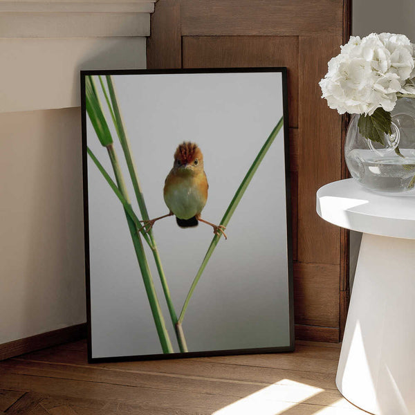 Tablou înramat „Kung Fu Master” de Lina Gunawan