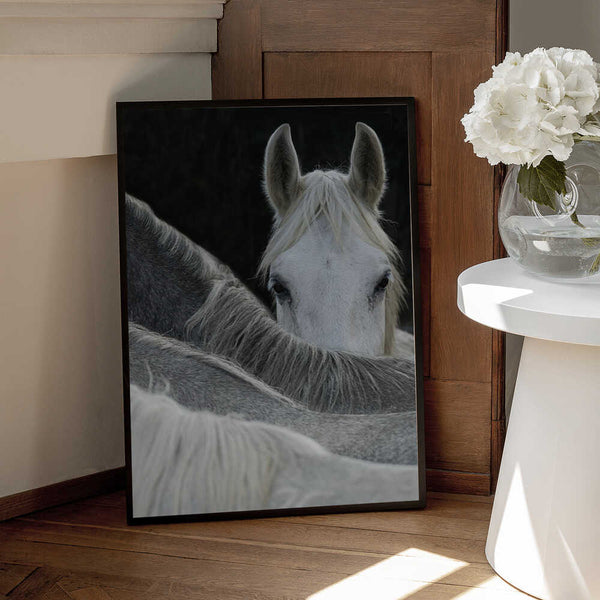 Tablou înramat „Look” de Milan Malovrh