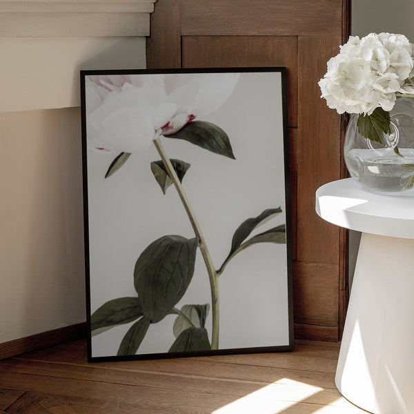 Tablou înramat „Peony 09” de Pictufy Studio III