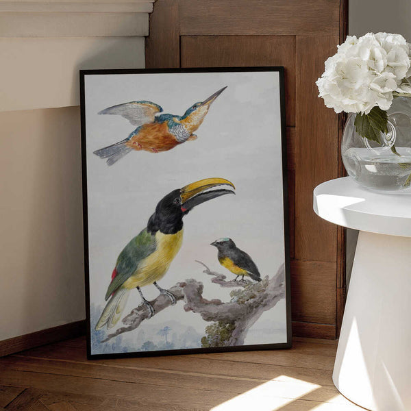 Tablou înramat „Three Birds a Kingfisher, a Prince Von Wied's Toucan and an Sparrow” de Aert Schouman