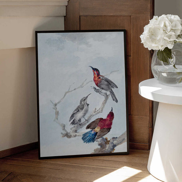 Tablou înramat „Three Crimson Sunbirds” de Aert Schouman
