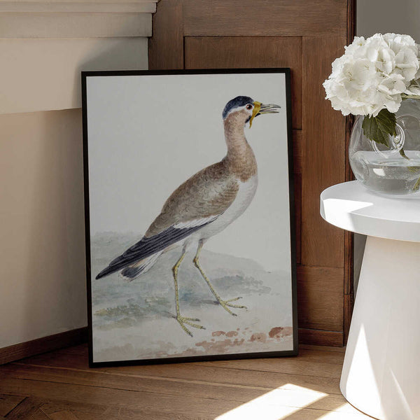 Tablou înramat „A Yellow Wattled Lapwing” de Aert Schouman