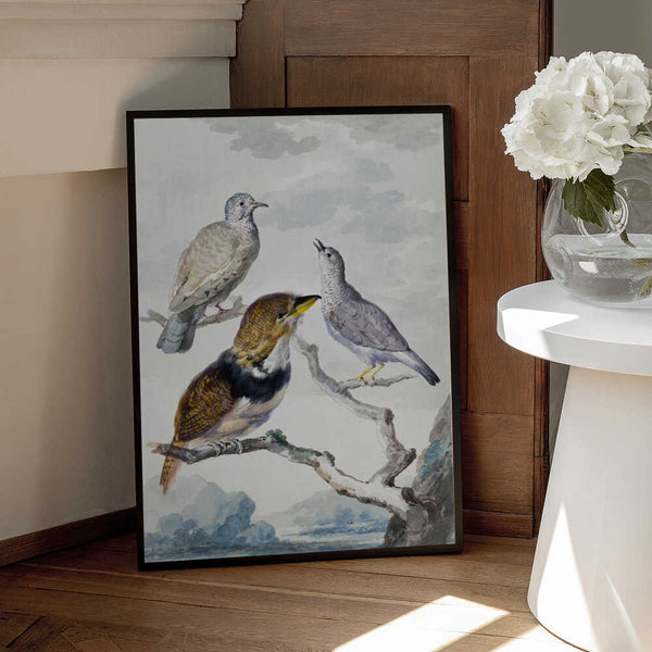 Tablou înramat „Three Birds, Two Inca Pigeons and a Collared Bearded Cuckoo” de Aert Schouman