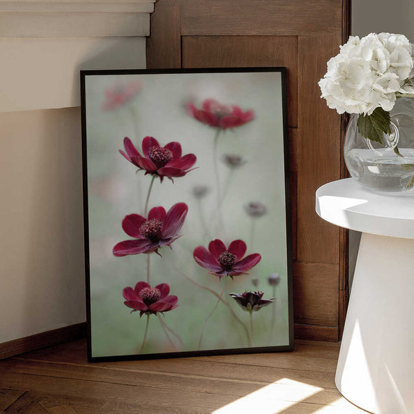 Tablou înramat „Cosmos sway” de Mandy Disher