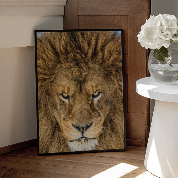 Tablou înramat „Serious Lion” de Mike Centioli