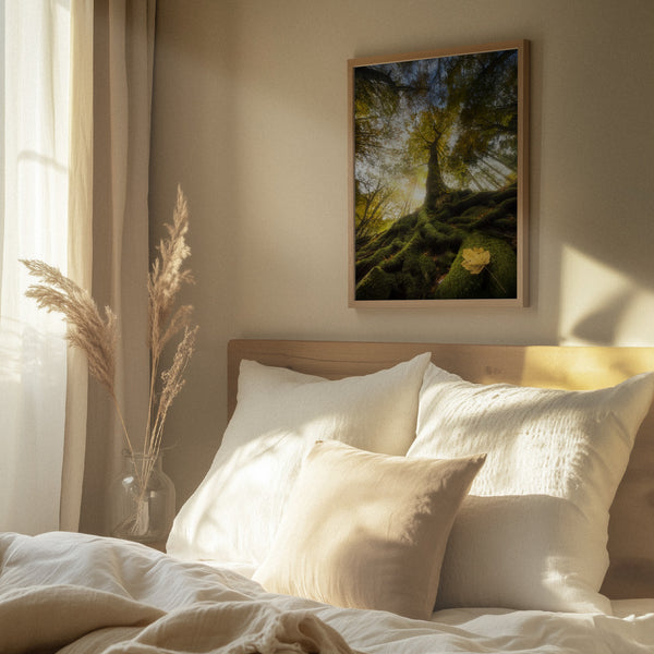 Tablou înramat „The goodbye of a leaf” de Alberto Ghizzi Panizza