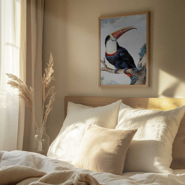 Tablou înramat „Red Billed Toucan” de Aert Schouman