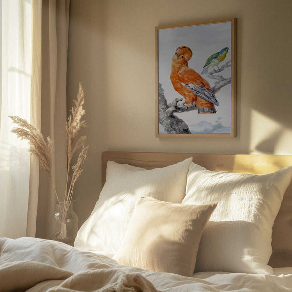 Tablou înramat „Two Exotic Birds” de Aert Schouman