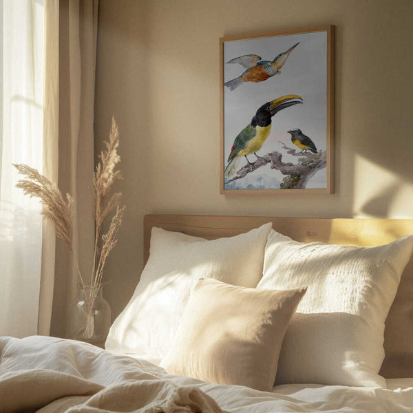 Tablou înramat „Three Birds a Kingfisher, a Prince Von Wied's Toucan and an Sparrow” de Aert Schouman