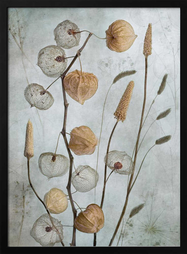 Tablou înramat „Lanterns*” de Mandy Disher