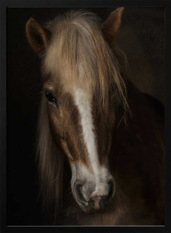 Tablou înramat „Sapience” de Martine Benezech