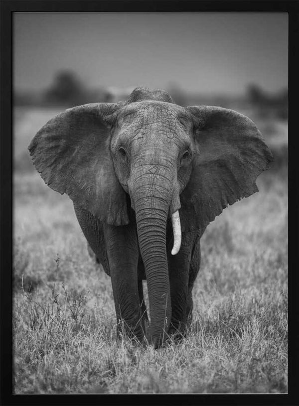 Tablou înramat „SINGULARITY” de Jaco Marx