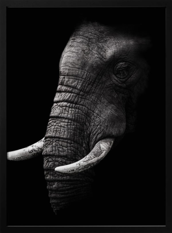 Tablou înramat „Portrait” de WildPhotoArt