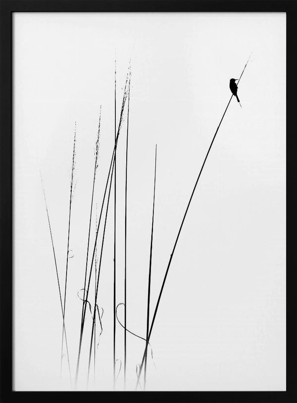 Tablou înramat „a sabbatical” de Swapniel s deshpnde