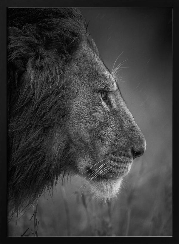 Tablou înramat „Thinking Under The Rain” de Faisal ALnomas