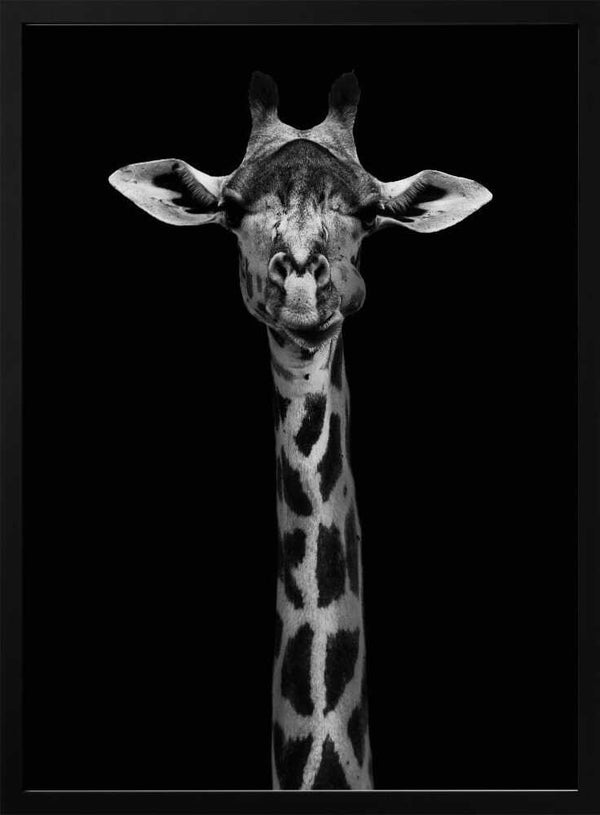 Tablou înramat „Giraffe Portrait” de WildPhotoArt