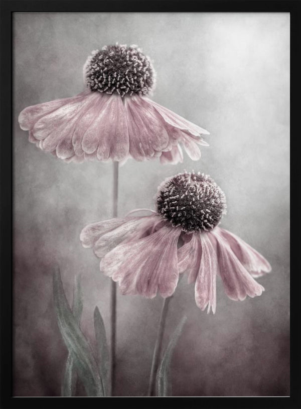 Tablou înramat „Duet” de Mandy Disher