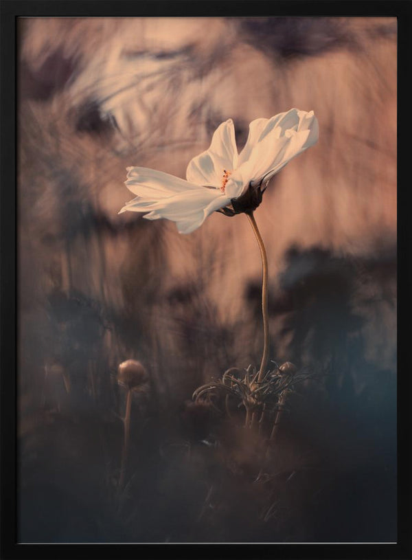 Tablou înramat „The Bride” de Fabien BRAVIN