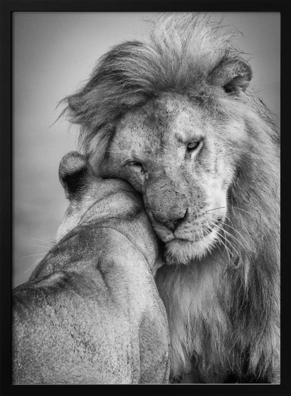 Tablou înramat „African Love!” de Ali Khataw