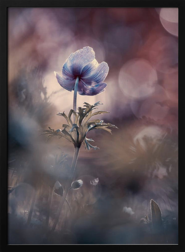 Tablou înramat „A brighter future” de Fabien BRAVIN