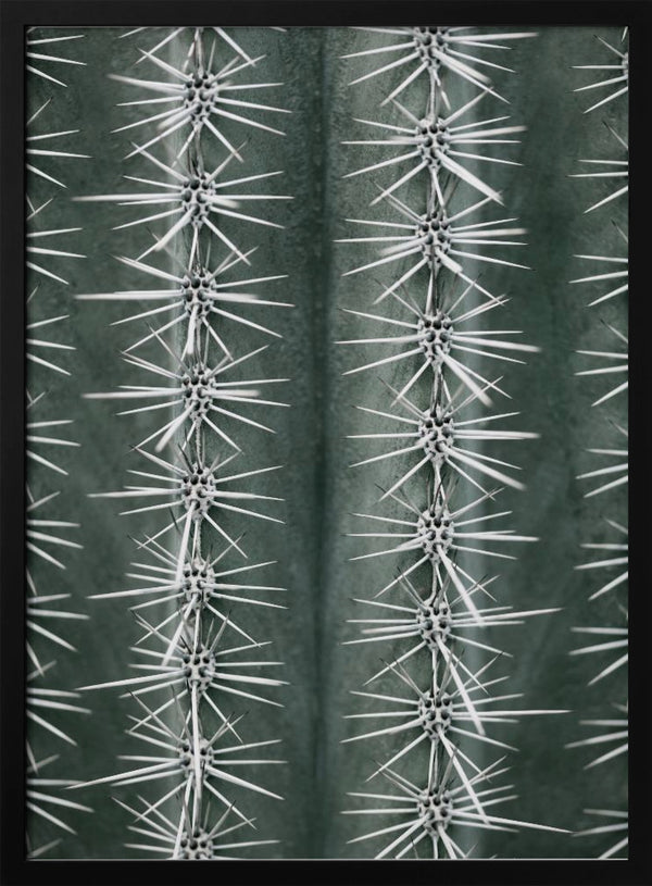 Tablou înramat „Cactus green” de Pictufy Studio III