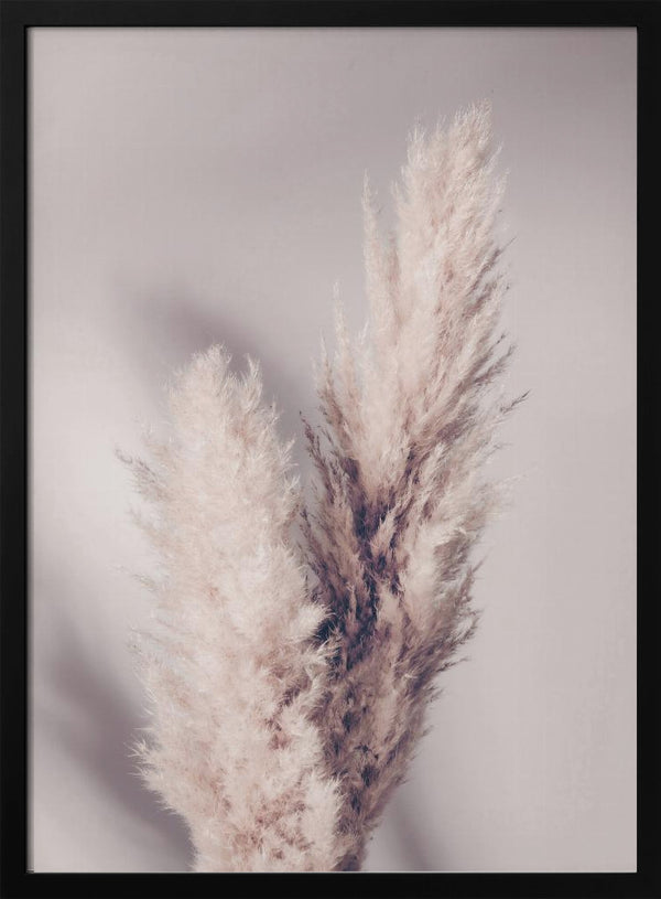 Tablou înramat „Pampas Grass” de Pictufy Studio III