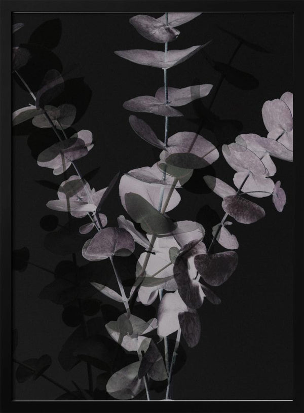 Tablou înramat „Eucalyptus_Negative_001” de Pictufy Studio III