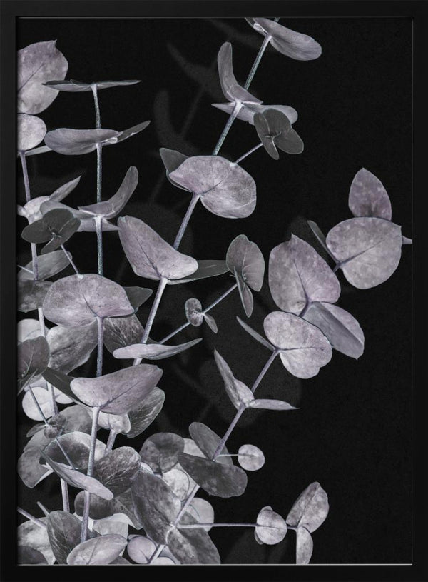 Tablou înramat „Eucalyptus_Negative_003” de Pictufy Studio III