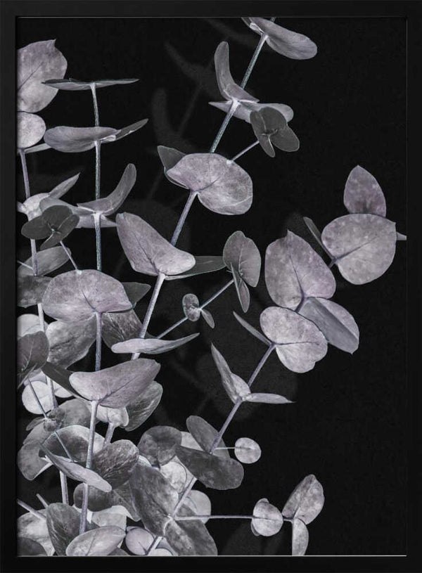 Tablou înramat „Eucalyptus_Negative_003” de Pictufy Studio III