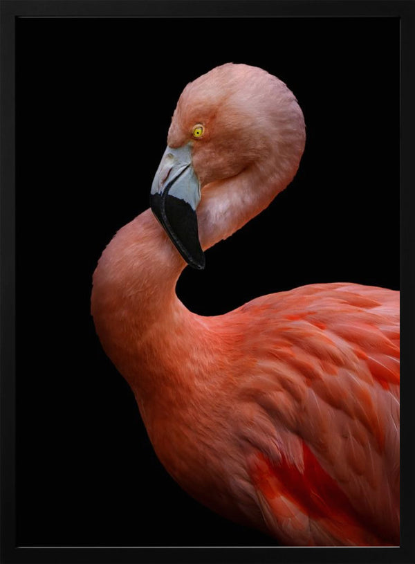 Tablou înramat „Untitled” de Hardik Pandya