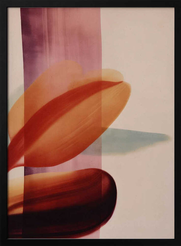 Tablou înramat „Flowing Petals” de Treechild