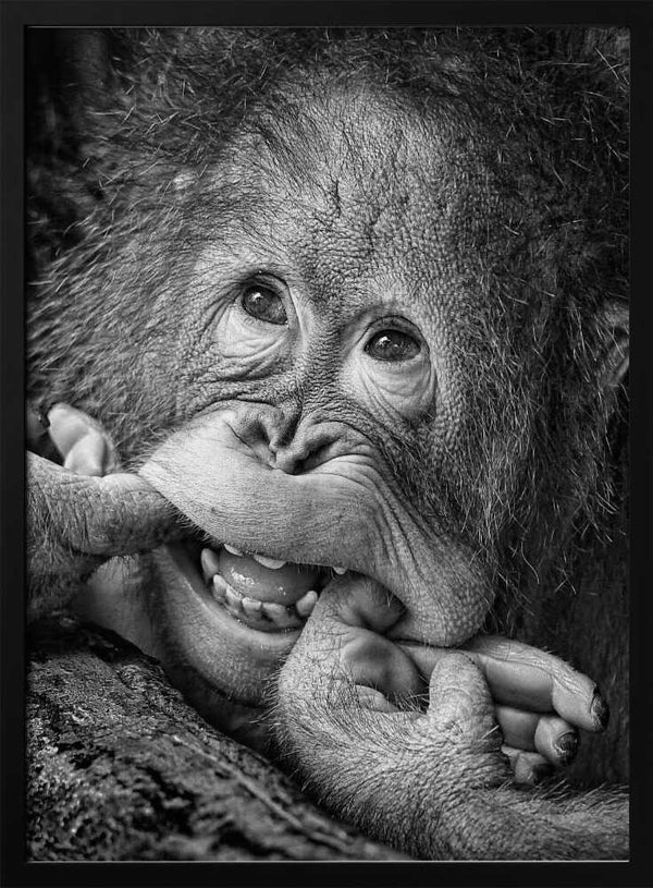 Tablou înramat „Big Smile.....please” de Angela Muliani Hartojo