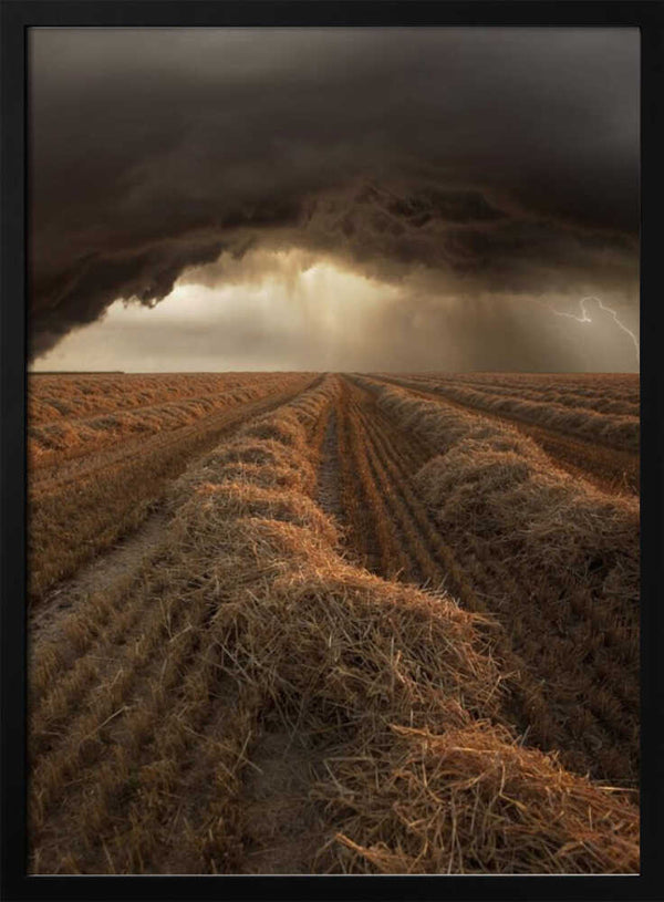 Tablou înramat „Untitled” de Nicolas Schumacher