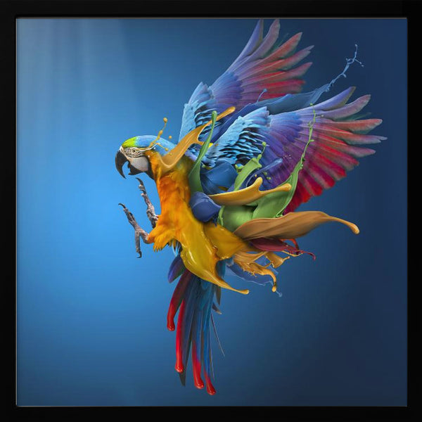 Tablou înramat „Flying Colours” de Sulaiman Almawash