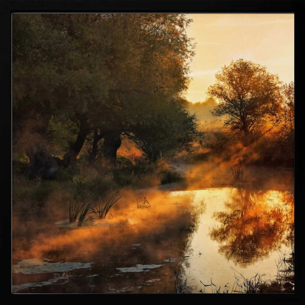 Tablou înramat „When nature paints with light I” de Leicher Oliver