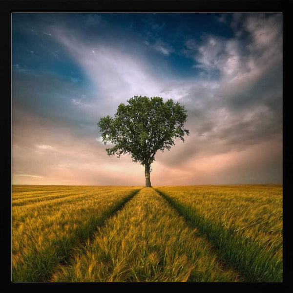 Tablou înramat „One” de Piotr Krol (Bax)