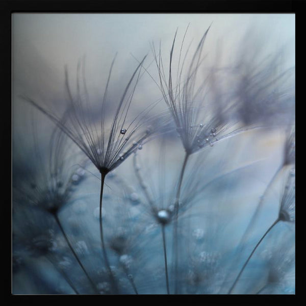 Tablou înramat „Teardrops” de Mathieu Irthum