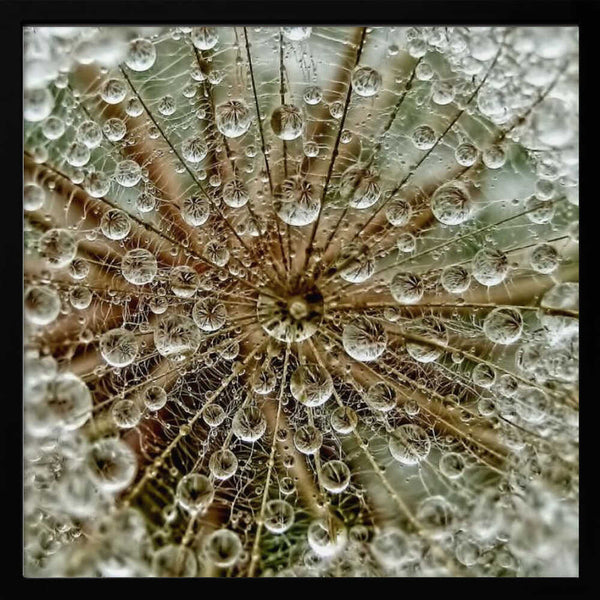 Tablou înramat „Dreаm” de Tanya Markova