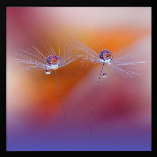 Tablou înramat „Two Worlds” de Juliana Nan