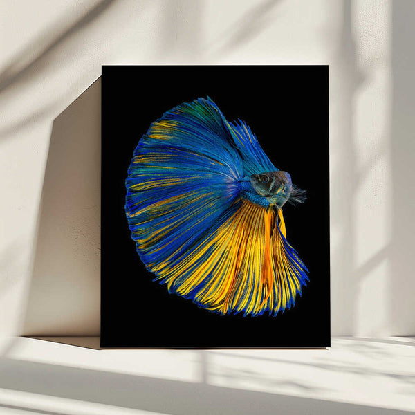 Tablou canvas „Yellow & Blue” de Andi Halil