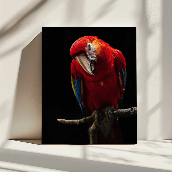 Tablou canvas „Portrait of Scarlet Macaw” de Andi Halil