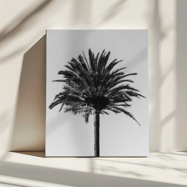 Tablou canvas „Palm_003” de Pictufy Studio III