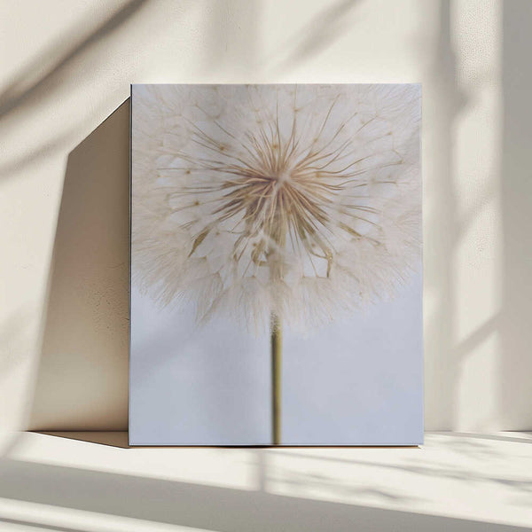 Tablou canvas „Delicate Dandelion” de uplusmestudio