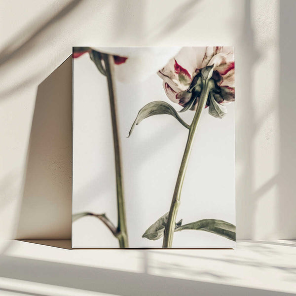 Tablou canvas „Peony 01” de Pictufy Studio III