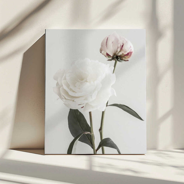 Tablou canvas „Peony 12” de Pictufy Studio III