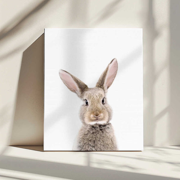 Tablou canvas „Baby Rabbit” de Kathrin Pienaar