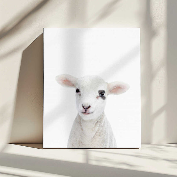 Tablou canvas „Baby Lamb” de Kathrin Pienaar
