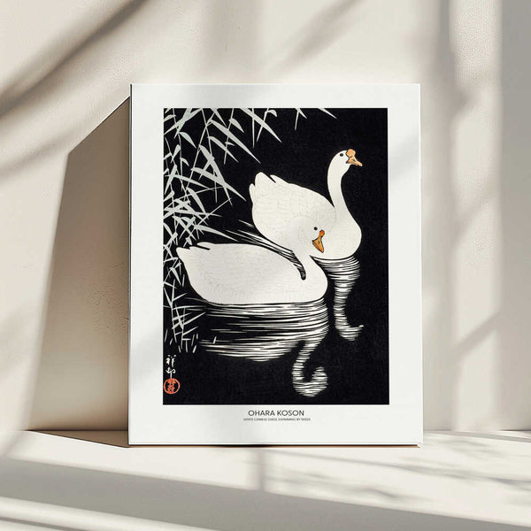 Tablou canvas „White Chinese Geese Swimming by Reeds” de Ohara Koson