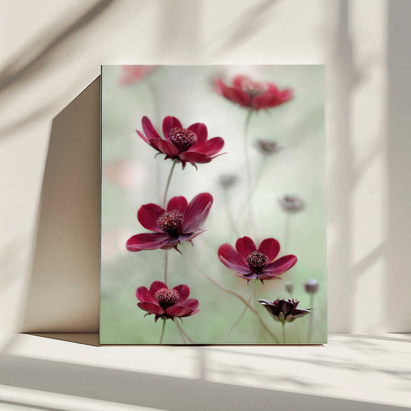 Tablou canvas „Cosmos sway” de Mandy Disher