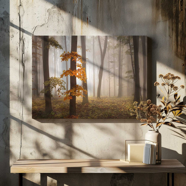 Tablou canvas „In November Light” de Nicolas Schumacher